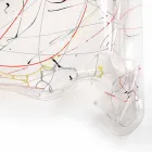 Table moderne en plexiglas multicolore fabriqué en Italie, Asie Viadurini