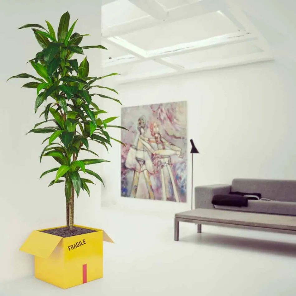 Porta table Magazines Fragile Mabele Viadurini