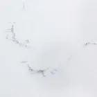 Table à Manger Extensible 240 cm Plateau Verre et Céramique - Barone Viadurini