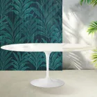 Table extensible Tulip de Saarinen, hauteur 74 cm, en céramique brillante Florim Calacatta Gold - Écarlate Viadurini