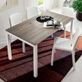 Table à manger en mélamine et métal peint Made in Italy - Remigio
