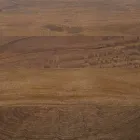 Table à manger ronde Homemotion avec plateau en manguier - Rondolo Viadurini