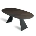 Table fixe 210 x 109 cm en métal et placage chêne ovale - Marcello Viadurini