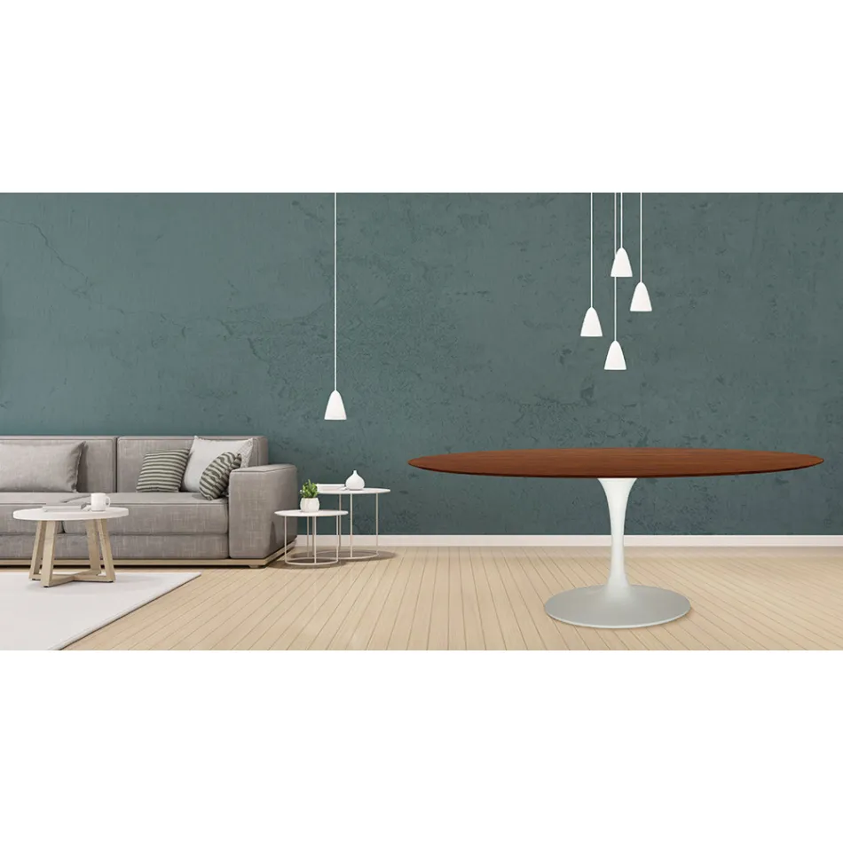 Table Tulipe Eero Saarinen H 73 Ovale en chêne teinté noyer foncé Made in Italy - Ecarlate Viadurini