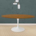 Table Tulipe Eero Saarinen H 74 ronde en chêne teinté noyer clair fabriquée en Italie - Ecarlate