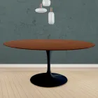 Eero Saarinen Tulip Table H 73 Round en chêne teinté noyer foncé Made in Italy - Scarlet Viadurini