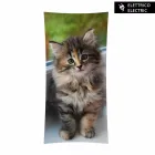 radiateur design électrique avec des photos en verre trempé Barry Viadurini