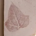 Applique Toscot Vivaldi en terre cuite fabriquée en Italie Viadurini