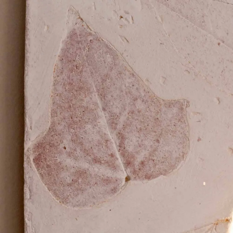 Applique Toscot Vivaldi en terre cuite fabriquée en Italie Viadurini