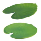 Napperons Petit Déjeuner Pvc Assortiment Feuilles Vertes ou Noires 12 Pcs - Esther Viadurini
