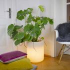 Vase avec éclairage de jardin ou salon design moderne coloré - Cilindrostar Viadurini