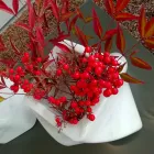 Vase Design Décoratif en Bardiglio ou Marbre de Carrare Made in Italy - Prisma Viadurini