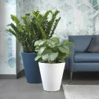 Vase décoratif rond en polyéthylène coloré fabriqué en Italie - Mengo Viadurini