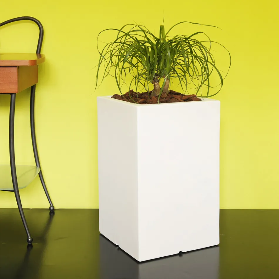 Pot séparateur de jardin en polyéthylène coloré fabriqué en Italie - Maddison Viadurini