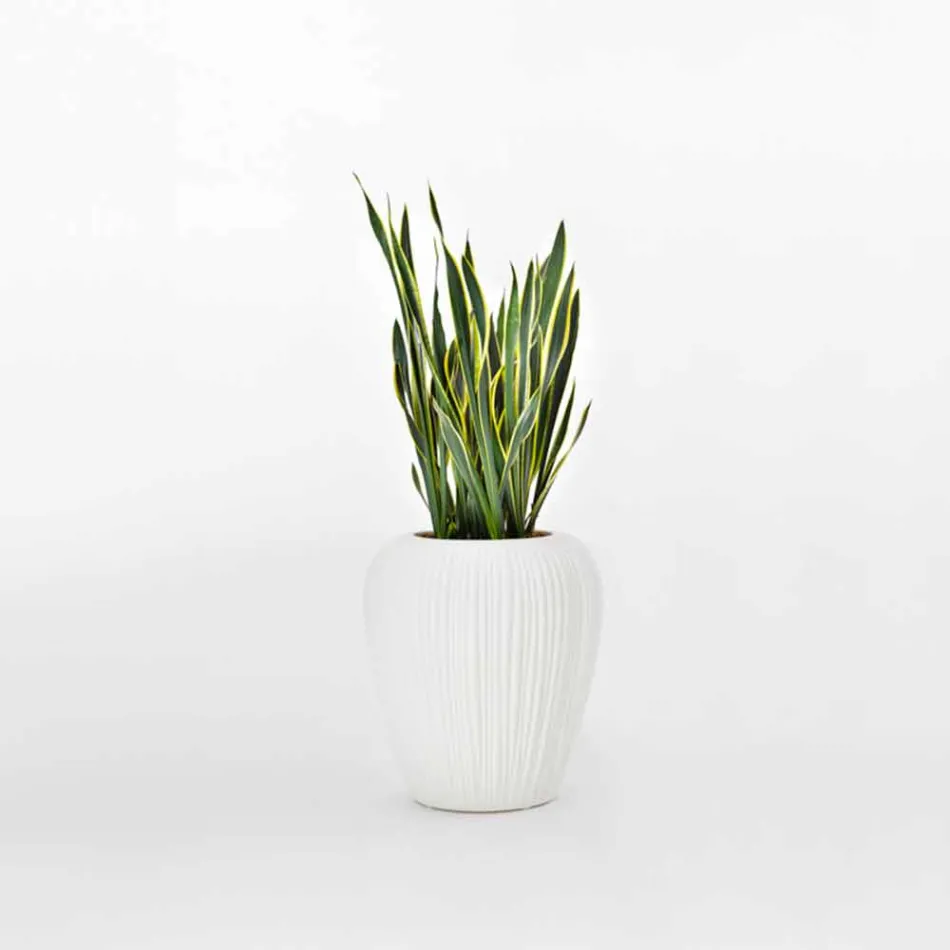 Vase d'extérieur lumineux au design moderne en polyéthylène, 2 pièces - Skin par Myyour Viadurini
