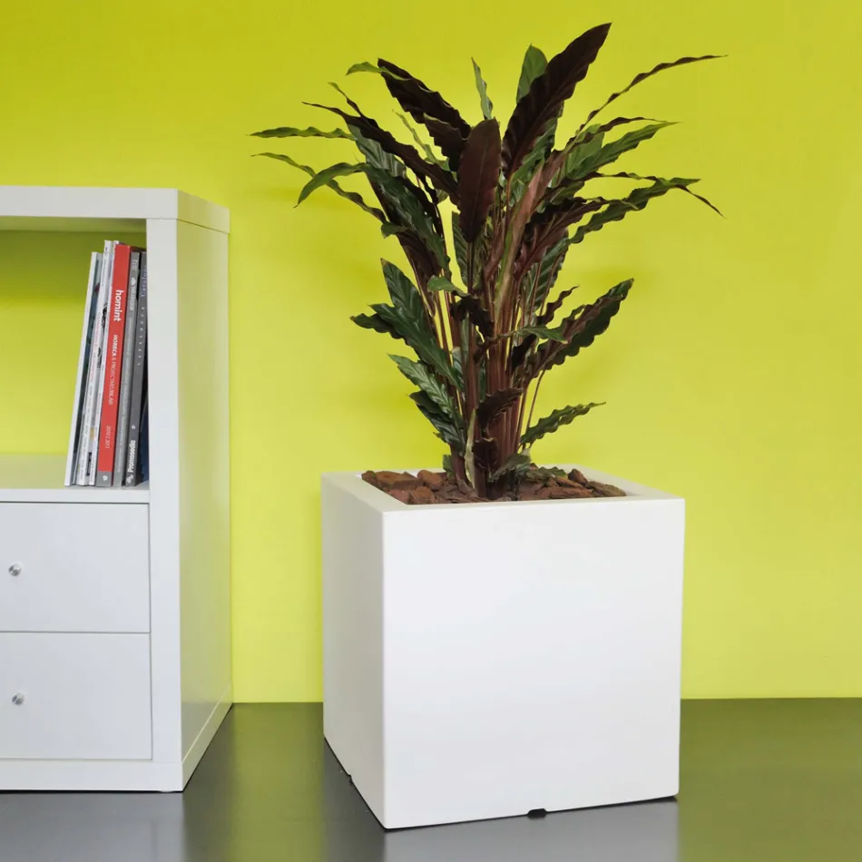 Pot ou Séparateur de Jardin Carré Trois Couleurs Made in Italy - Plantes Viadurini