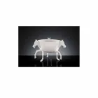 Vase ornemental d'intérieur en céramique blanche ou or 24 carats fabriqué en Italie - Jacky Viadurini