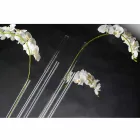 Vase d'intérieur en plexiglas transparent fabriqué en Italie - Fortunato Viadurini