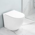 Toilettes Aralia blanches en céramique, à montage sur pied et à effet cyclonique, avec siège à fermeture amortie